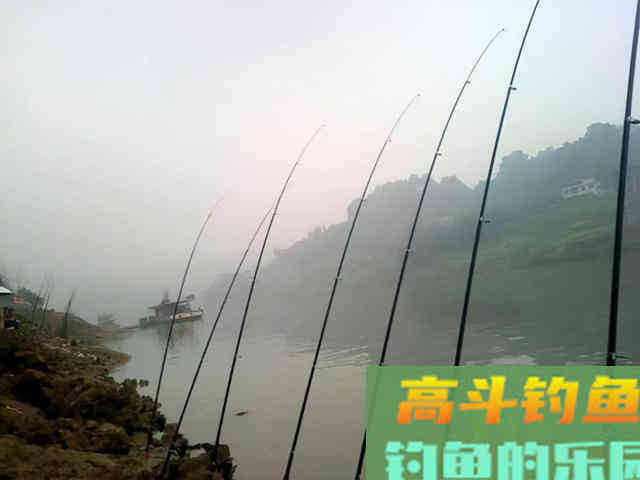 鲢鳙线组这么装,钓深、钓浅都可以 鲢鳙线组这么装,钓深、钓浅都可以