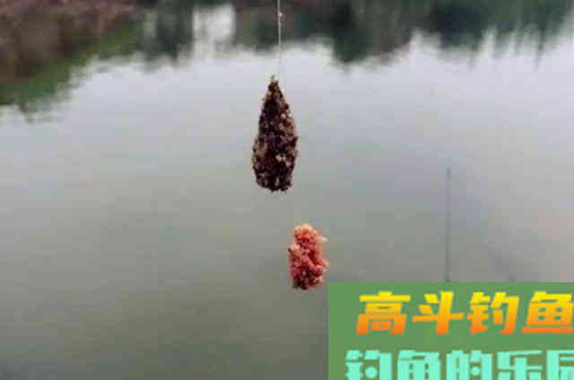 夏天一到,鲫鱼只要按我说的钓,隔三五天就想钓 夏天一到,鲫鱼只要按我说的钓,隔三五天就想钓
