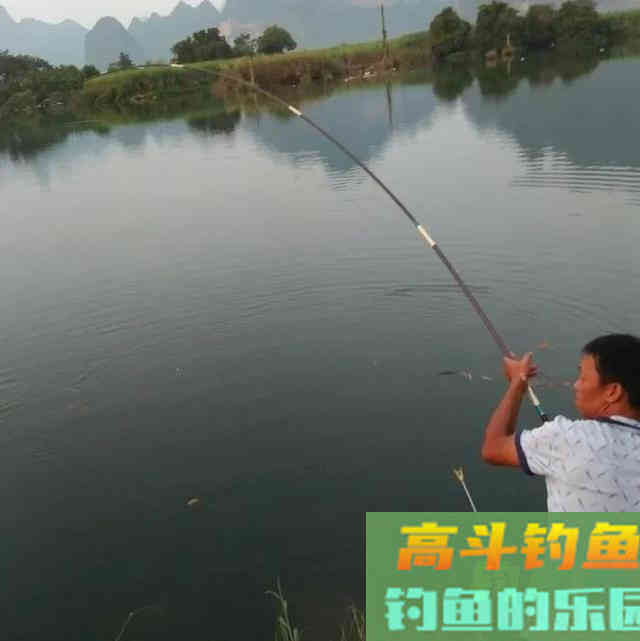 鲢鳙好不好钓？答案：好钓