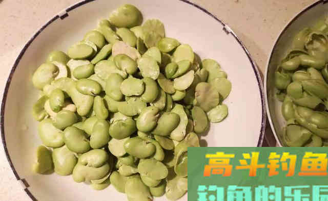 晚秋钓鲫鱼,用蚯蚓、红虫鱼口多 晚秋钓鲫鱼,用蚯蚓、红虫鱼口多