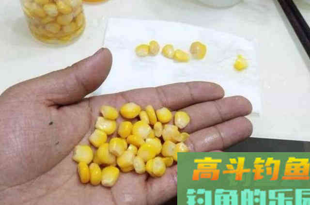 怪不得老钓手偷偷摸摸，原来有了这鲤鱼钓法
