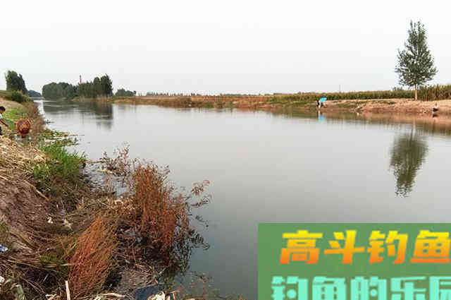 冬季鲫鱼虽然开口，但不注意这3点，钓不到也正常