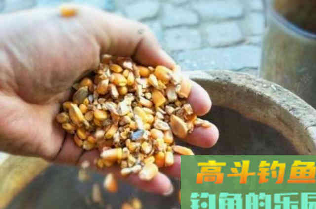 一到五月，我就只喜欢用这草鱼钓法