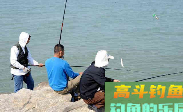秋季鲤鱼肥美，也是野钓的最佳时机