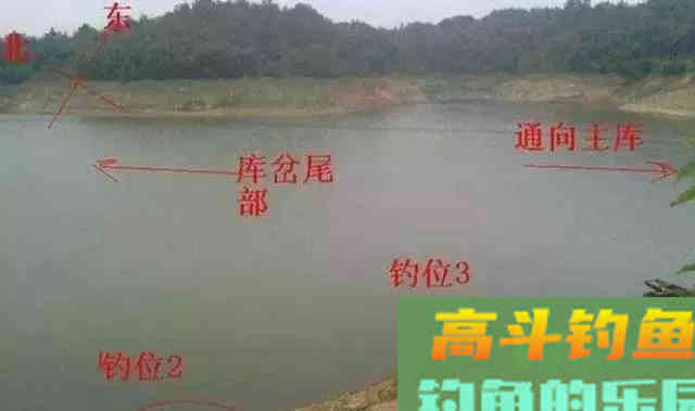 野钓大鲫鱼,这样抓口,有口就上鱼 野钓大鲫鱼,这样抓口,有口就上鱼