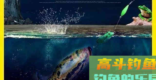 雷强黑鱼怎么钓？应该从鱼杆、拟饵、钓点、钓法入手