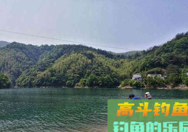 钓友常把它误认为草鱼,其实它是军鱼 钓友常把它误认为草鱼,其实它是军鱼