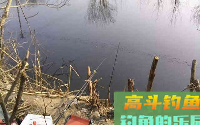 冬钓出现这种漂相，可是小鱼闹窝，是进窝的鲤鱼在涮饵