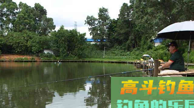 立夏之后，正适合野钓鲤鱼