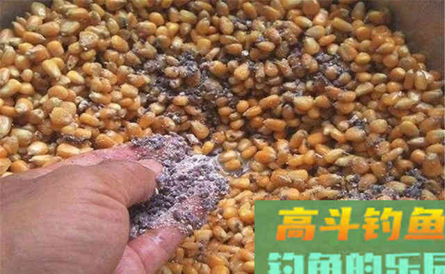 仲秋钓鲤鱼,这些味型的饵料效果最好 仲秋钓鲤鱼,这些味型的饵料效果最好