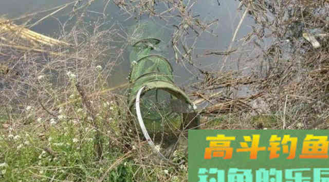初夏钓鲫鱼，选择草窝处