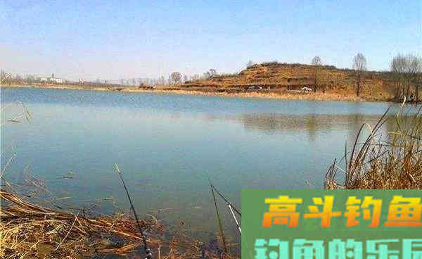 秋分前后鲫鱼应该这样钓，方法得当才能保证鱼获