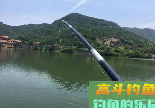 抛竿钓鲢鳙的5个常识性问题
