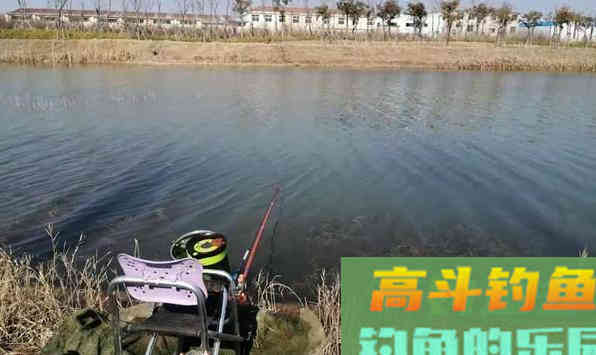 冬钓鲫鱼,如何选钓位?老钓手都喜欢去这六个地点 冬钓鲫鱼,如何选钓位?老钓手都喜欢去这六个地点