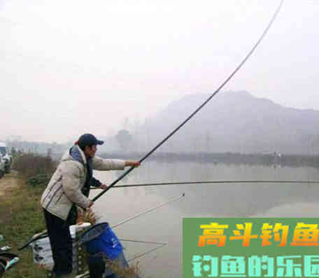 只要水面不结冰，冬天的鲤鱼，多半藏在这些位置
