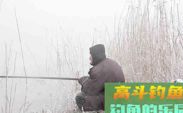 冬季野钓鲫鱼,老钓友惯用这4条伎俩做钓 冬季野钓鲫鱼,老钓友惯用这4条伎俩做钓