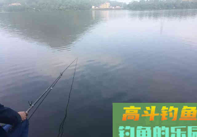冬天钓鲢鳙你得换个套路,比诱鱼更重要的是找鱼 冬天钓鲢鳙你得换个套路,比诱鱼更重要的是找鱼