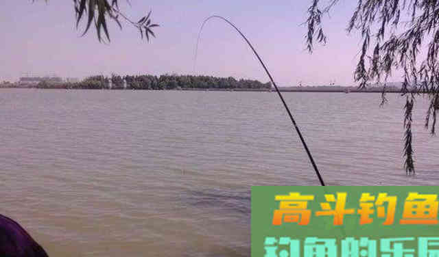 野钓鲤鱼，黑漂才提竿，已吞钩的鲤鱼跑一半