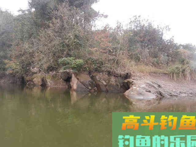 为何说野钓鲤一定要找坎 为何说野钓鲤一定要找坎
