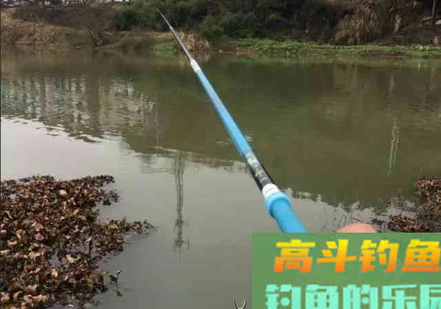 天冷钓鱼要多逗,鲫鱼经不起这诱惑 天冷钓鱼要多逗,鲫鱼经不起这诱惑
