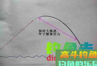钓不到鲤鱼的原因，没有其他，其实就是以下的6点
