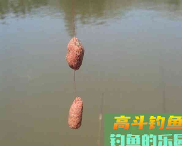 为什么钓了几条鱼后就没动静了?看老钓友如何解决 为什么钓了几条鱼后就没动静了?看老钓友如何解决