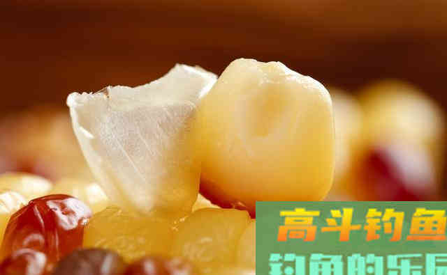邓刚用玉米钓翘嘴，为啥你用玉米钓不到
