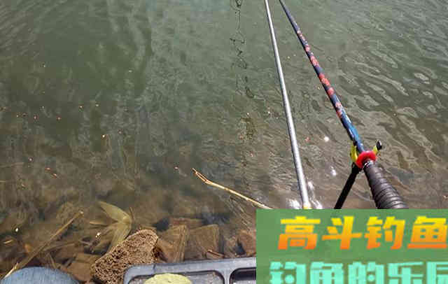 出钓前抓住这一点，搞定春季鲫鱼