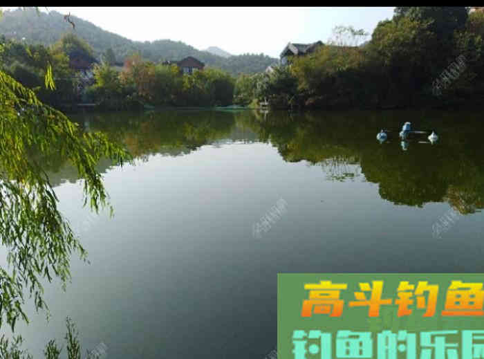 初冬钓大鲫体会，从四个方面解析，教你钓大鲫鱼