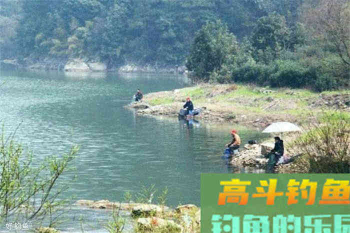 鲫鱼钓底还是钓浮？是需要根据现场环境来定的