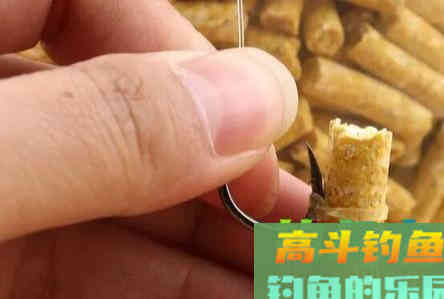 黑坑垂钓青鱼和大物，为何锚鱼多过正口？分析原因是关键