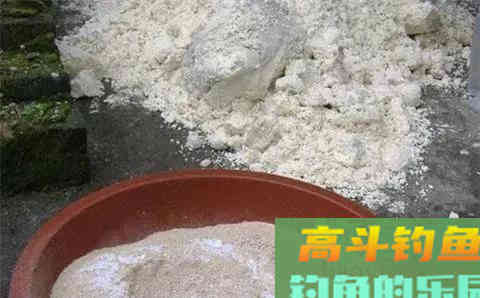 一年一度鲢鳙季,鲢鳙的垂钓也即将进入高潮 一年一度鲢鳙季,鲢鳙的垂钓也即将进入高潮