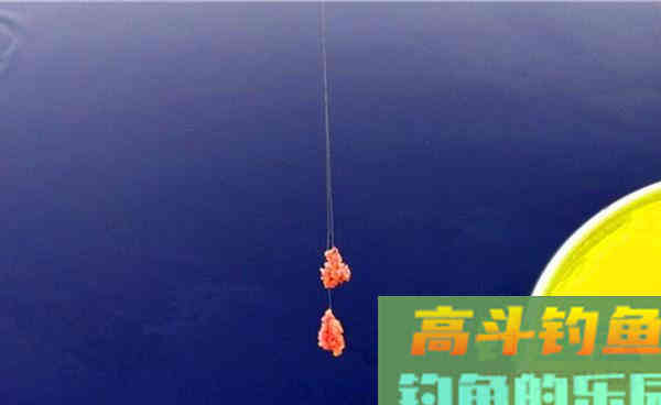 晚秋初冬钓鲫鱼两大核心技巧