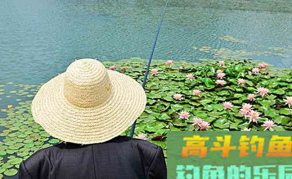 细说手竿传统钓的4大优势,秋钓鲫鱼狠招数 细说手竿传统钓的4大优势,秋钓鲫鱼狠招数