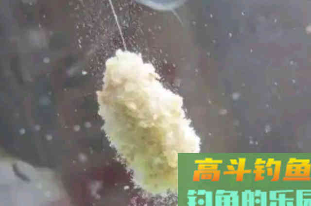 7月一到，我就这么调整钓鲢鳙，比钓鲤鱼过瘾