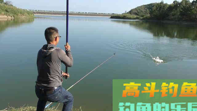 野钓大草鱼攻略