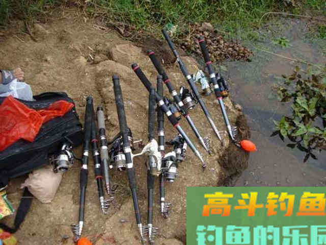 此鱼和挨饿的草鱼似有几分相像,生活在咸淡水交界处 此鱼和挨饿的草鱼似有几分相像,生活在咸淡水交界处