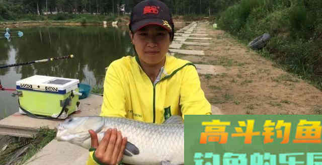 高手详细分析，垂钓青鱼该如何选择饵料