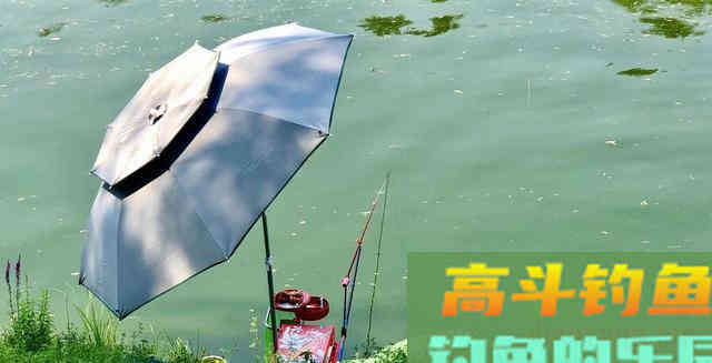 夏季想钓黄骨鱼，牢记3钓3不钓，渔获一准不差事