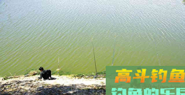 底浮钓法钓草鱼,又一神奇钓法 底浮钓法钓草鱼,又一神奇钓法