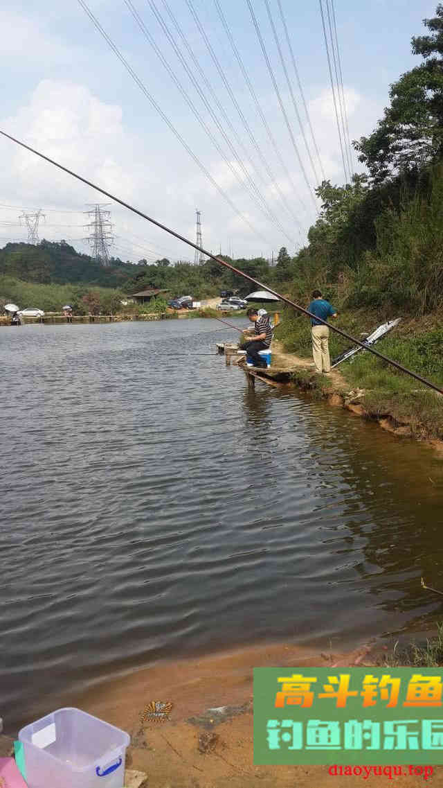 设么是红罗非鱼？红罗非是变种要该如何钓