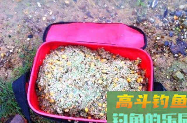 确认过眼神，试过这鲤鱼钓法的人不简单