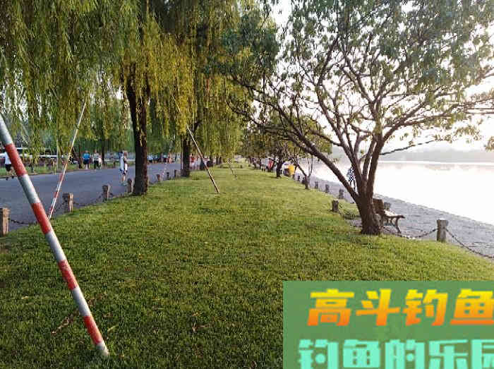 翘嘴鱼的习性与食性 翘嘴鱼的习性与食性