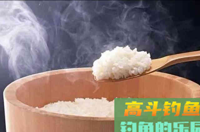 自从我发现这鲫鱼新钓法,连大物都不想钓 自从我发现这鲫鱼新钓法,连大物都不想钓