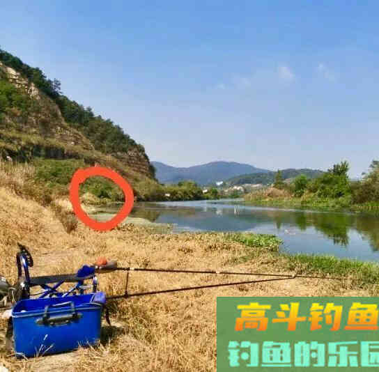 天气越冷钓鱼越要找这种地方，鲫鱼最喜欢躲在其中