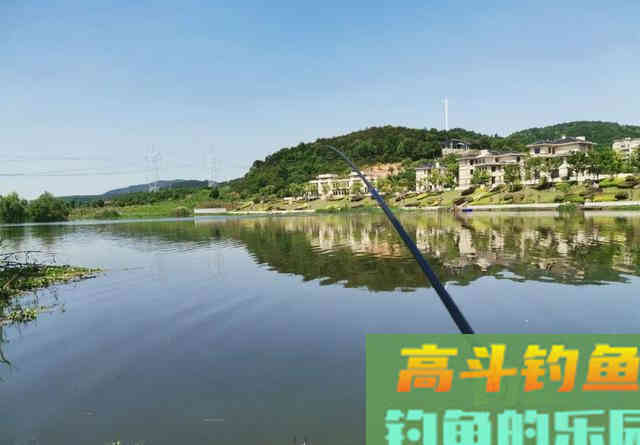 5斤以上的野生鲤鱼得这样钓!鲤鱼狡猾分等级 5斤以上的野生鲤鱼得这样钓!鲤鱼狡猾分等级