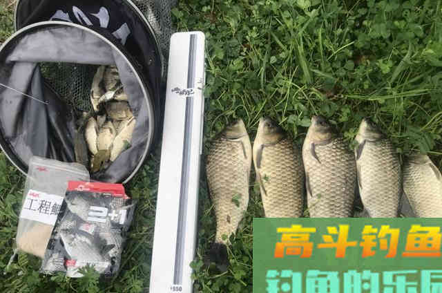 深秋时期，水库钓大鲫鱼的作钓思路与注意事项