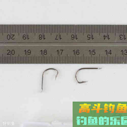 钓鲫鱼用几号钩?3个因素有影响 钓鲫鱼用几号钩?3个因素有影响