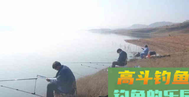夏季鲢鳙怎么钓？掌握鱼情、水情、钓深、钓浅等