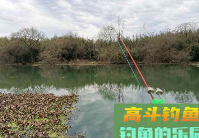 冬钓鲫鱼的偷懒玩法,筏竿配上串钩 冬钓鲫鱼的偷懒玩法,筏竿配上串钩